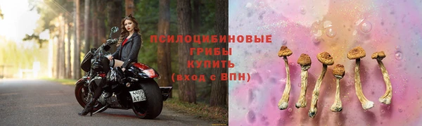 mdpv Болотное