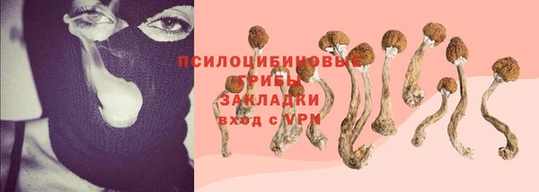 первитин Болохово