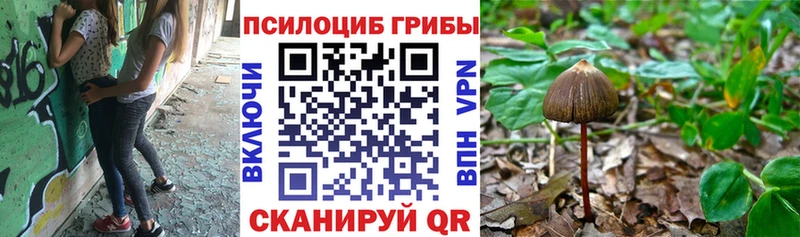 Галлюциногенные грибы ЛСД  купить закладку  Сатка 