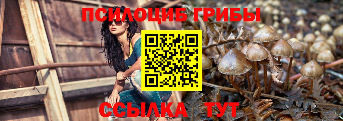 Галлюциногенные грибы MAGIC MUSHROOMS  Псилоцибиновые грибы мицелий  Сатка  где можно купить наркотик  Вход с VPN 